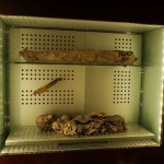 Museos de Tenerife, referencia internacional en preservación de momias