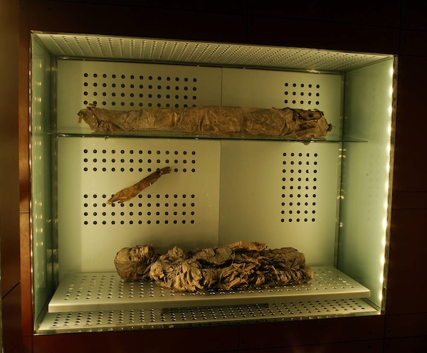 Momias expuestas en el Museo de la Naturaleza y el Hombre