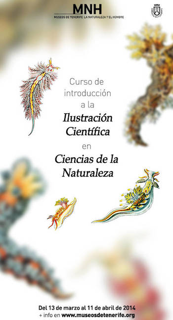 Curso a la ilustración científica en ciencias de la Naturaleza