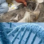 Charla sobre la evolución de la genética en el MNH