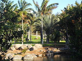 El Palmetum acoge las I Jornadas Científicas de Biodiversidad