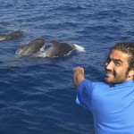 Arona apuesta por convertirse en ‘Bahía de las ballenas’ con el festival medioambiental Son Atlántico