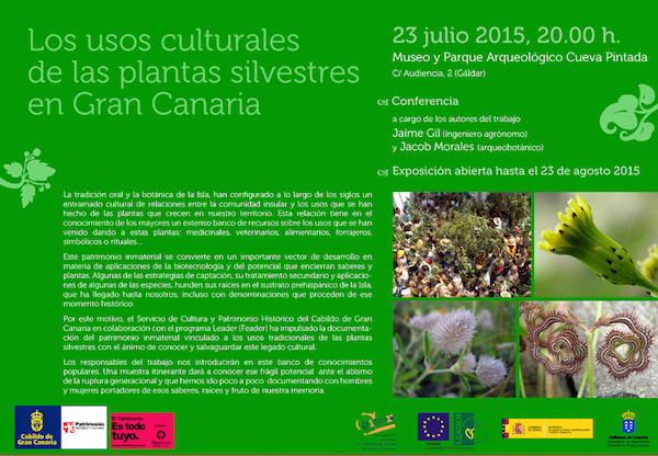 Últimos días para visitar la exposición ‘Los usos culturales de las plantas silvestres en Gran Canaria’