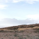 La metáfora del Malpaís en la isla de La Palma
