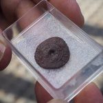 La intervención arqueológica en el ingenio de Guía pone al descubierto estructuras de la fábrica y una moneda del siglo XV