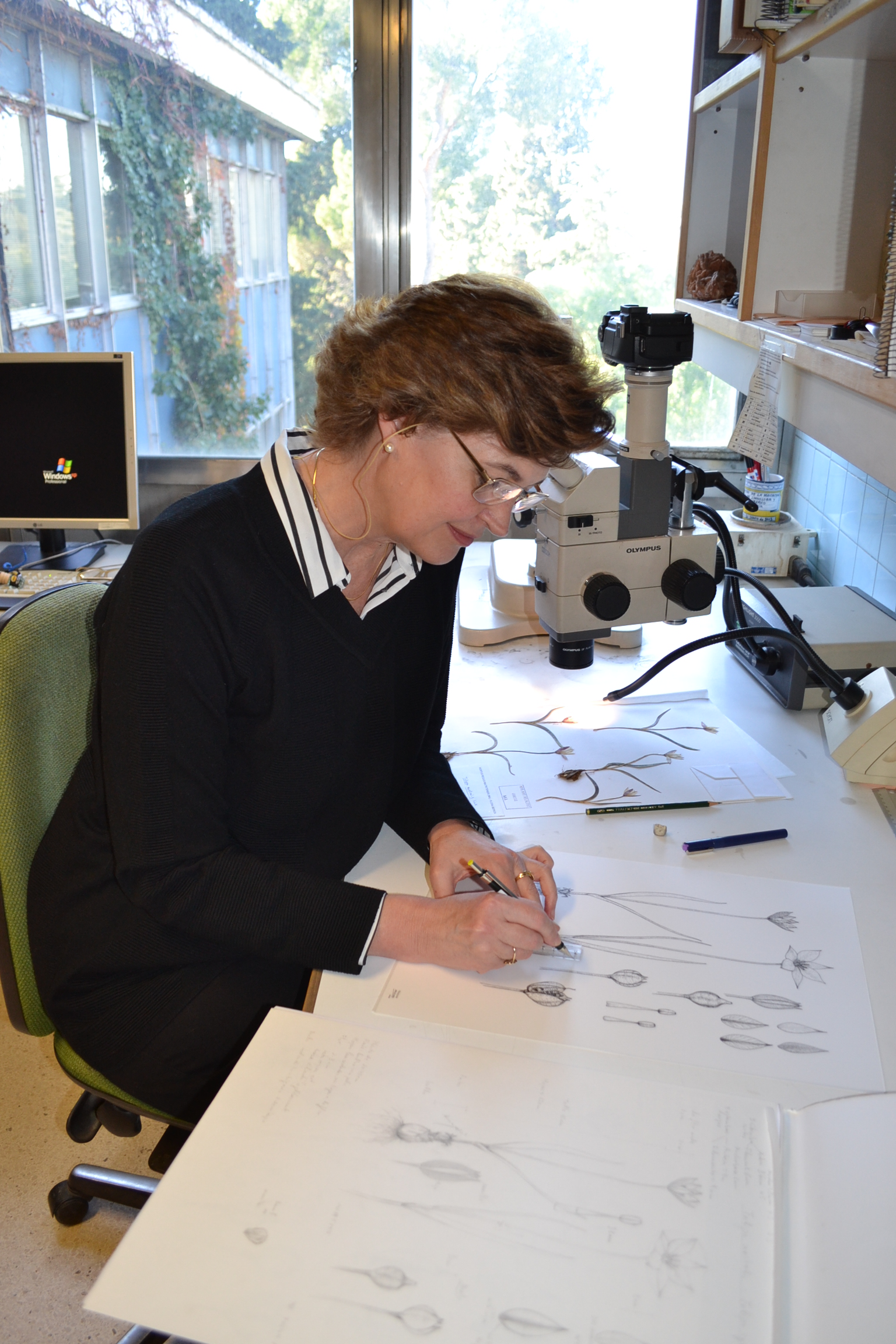 La Real Academia de Bellas Artes ofrece el curso Iniciación al dibujo e ilustración botánica con Marta Chirino
