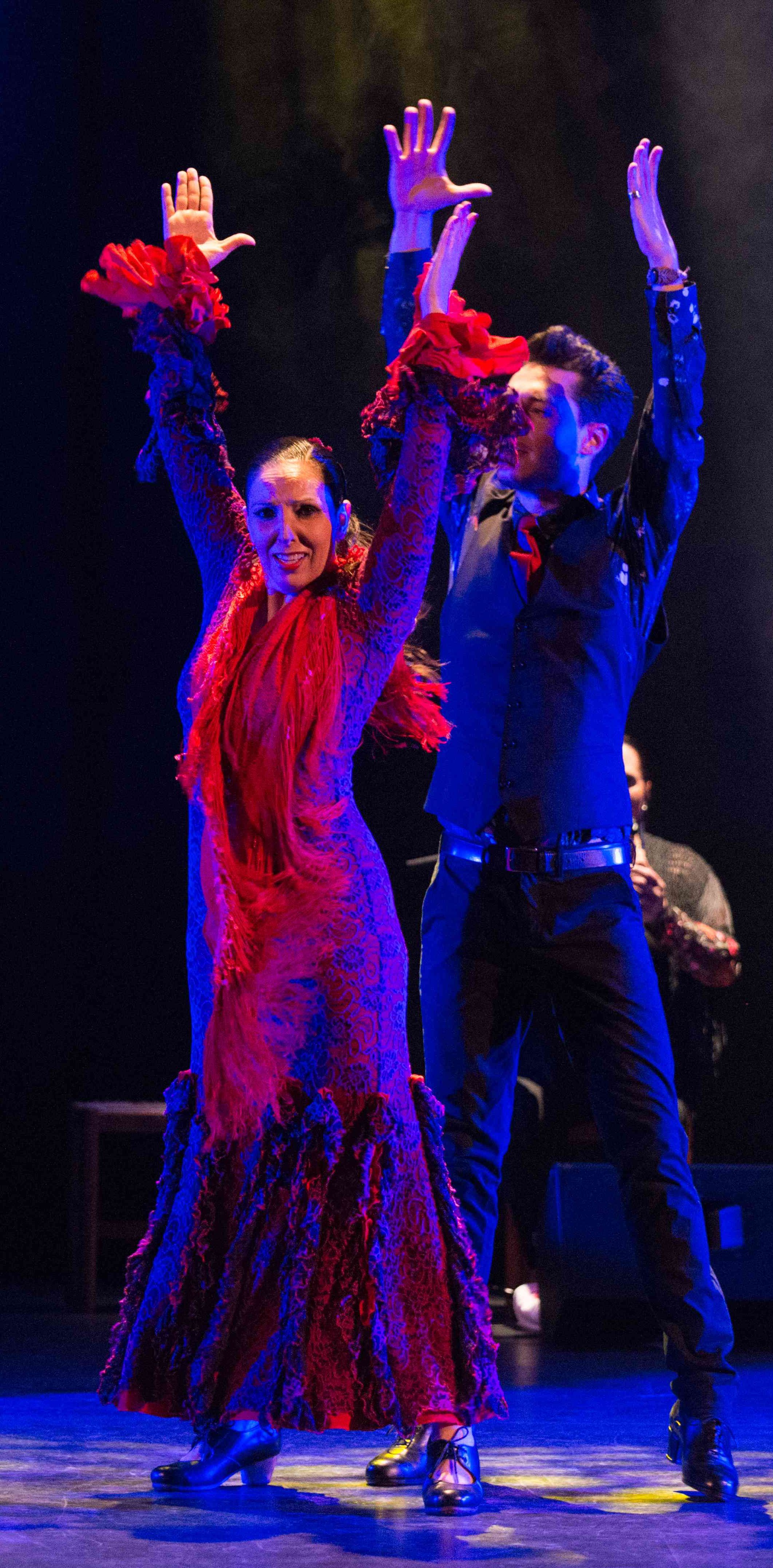Aires de Flamenco